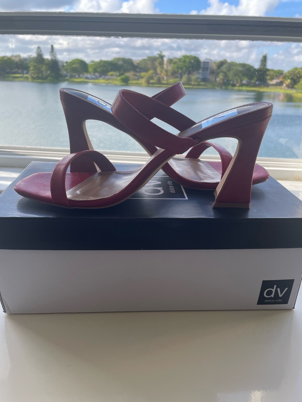 Dolce Vita Cherry Red Double-Strap Block Heel Sandals - Picture 2 of 12